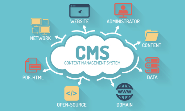 CMS for eCommerce Website Development 