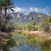La increíble isla de Socotra