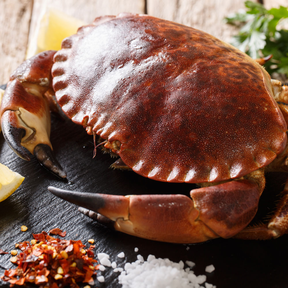 Whole Cooked European Brown Crab - French District