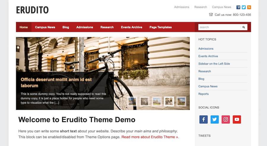 Tema WordPress Erudito