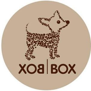 6. Box Box Dog House
