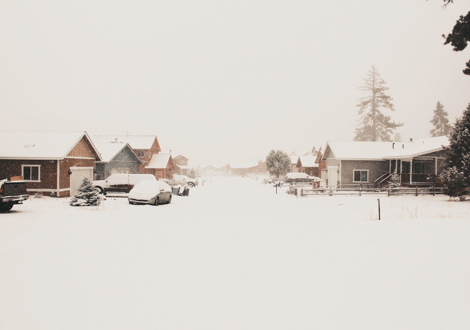 winter