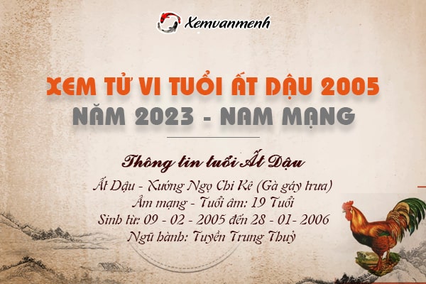 Xem bói tử vi tuổi Ất Dậu nam mạng năm 2023 