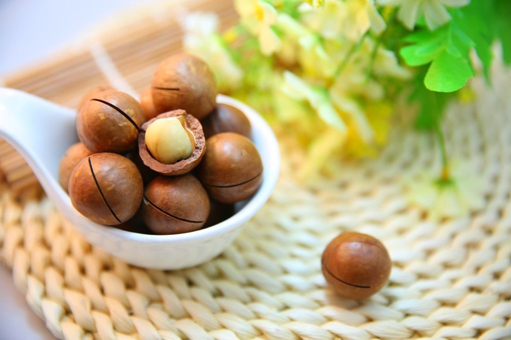 macadamia nuts, nut, protein