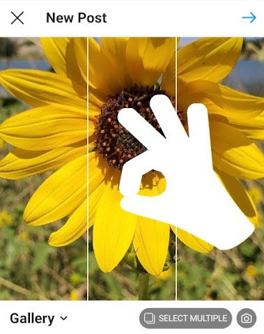 如何在 Instagram 上发布第 4 步：裁剪图像