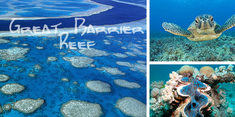 Great Barrier Reef Scuba Diving