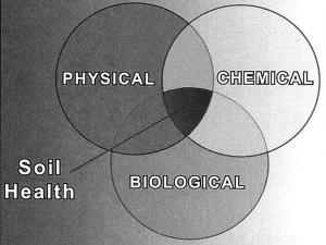 Soil Health