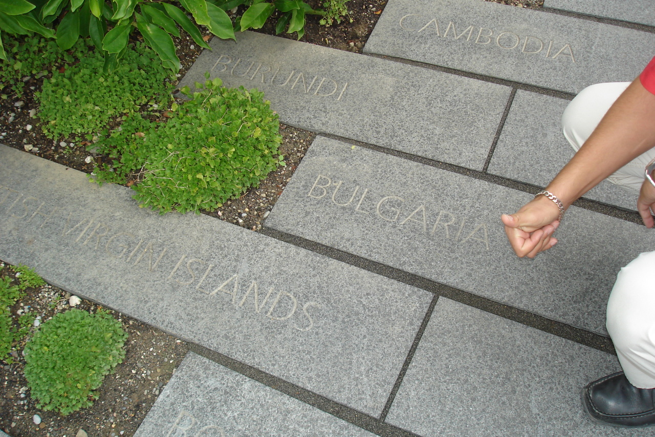 036404366-big.jpg