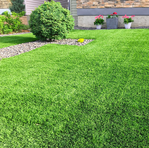 8 Ways to use Synthetic Turf to Beautify your Yard