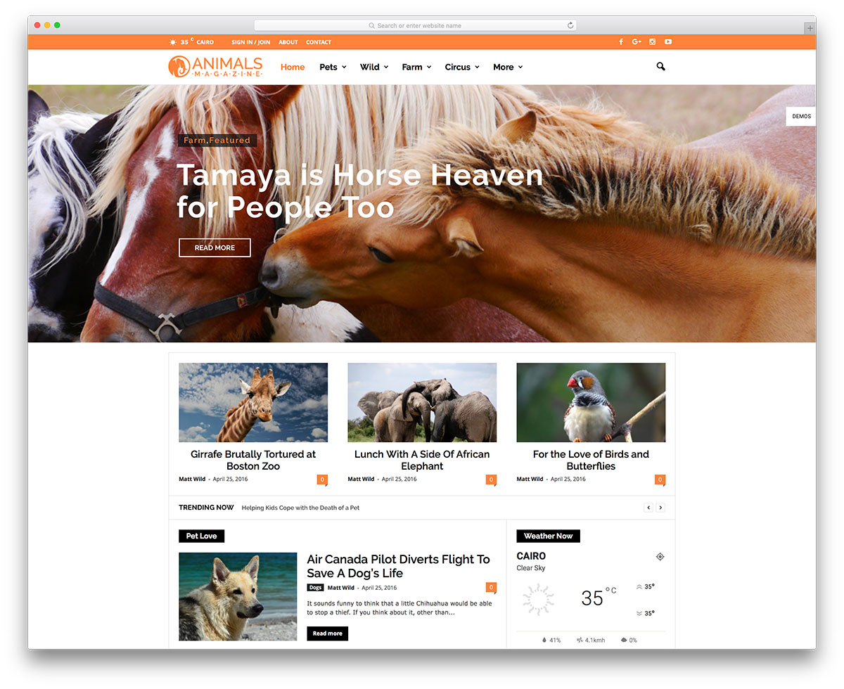 newsmag-animal-magazine-wordpress-website-template