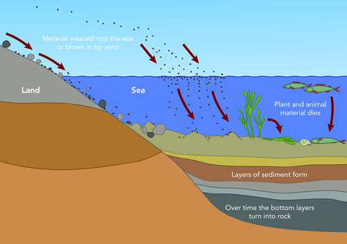 Image result for layers of sediment diagram