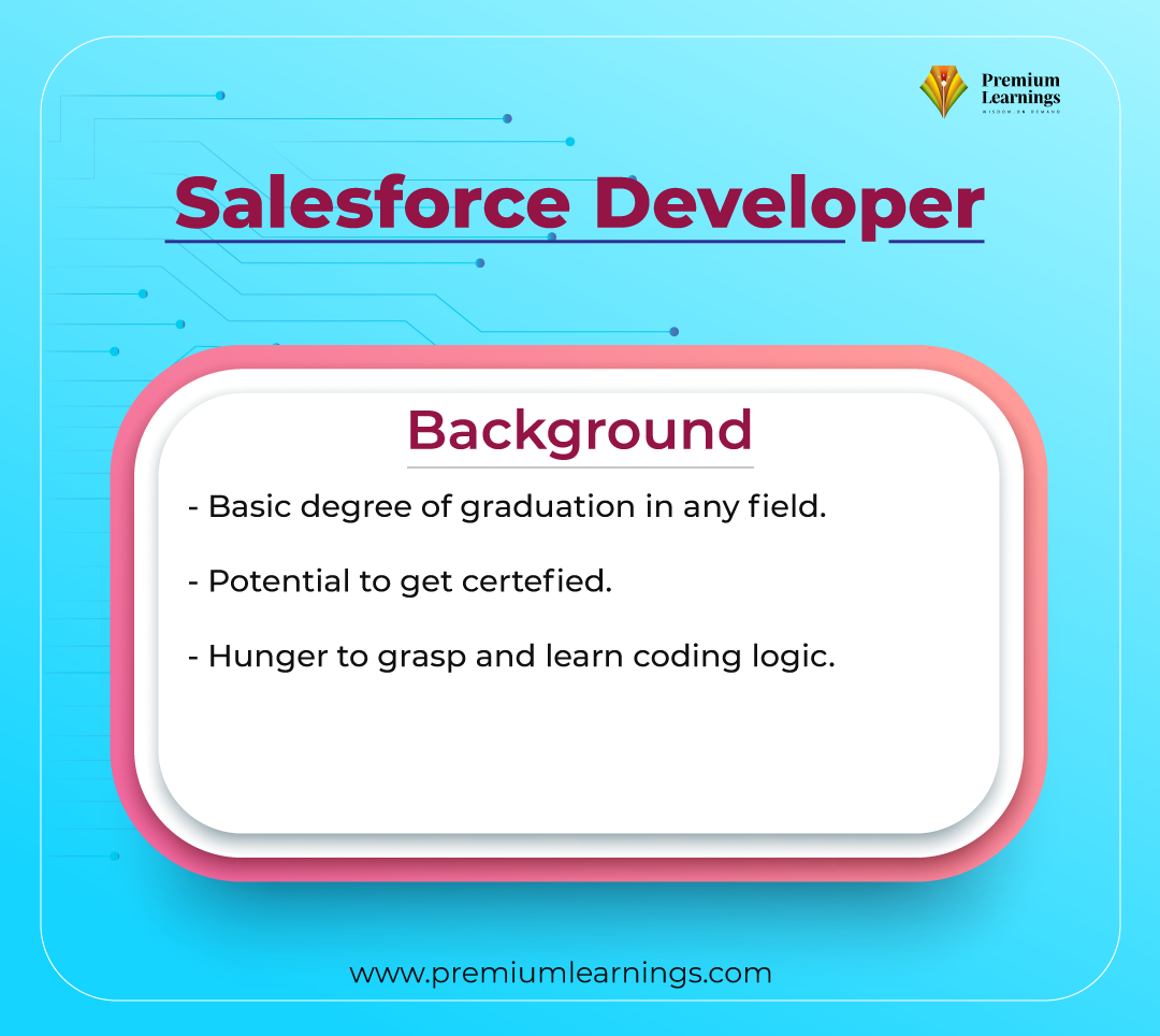 Salesforce Developer Backround