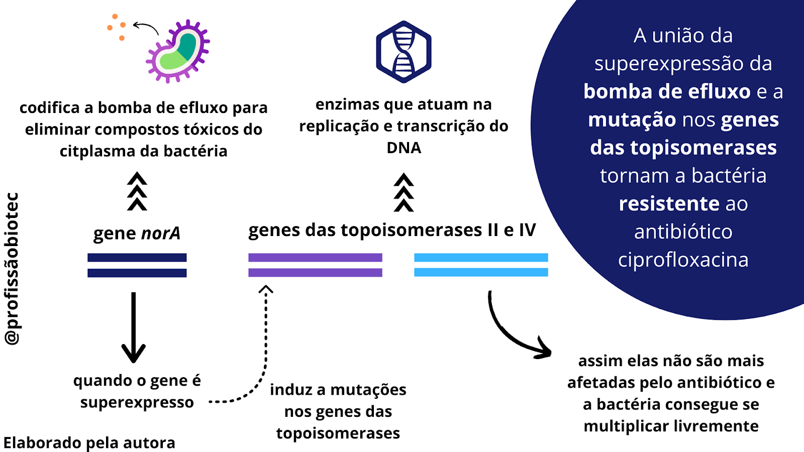 Genes Potencializadores Da Evolução Da Resistência Bacteriana Aos