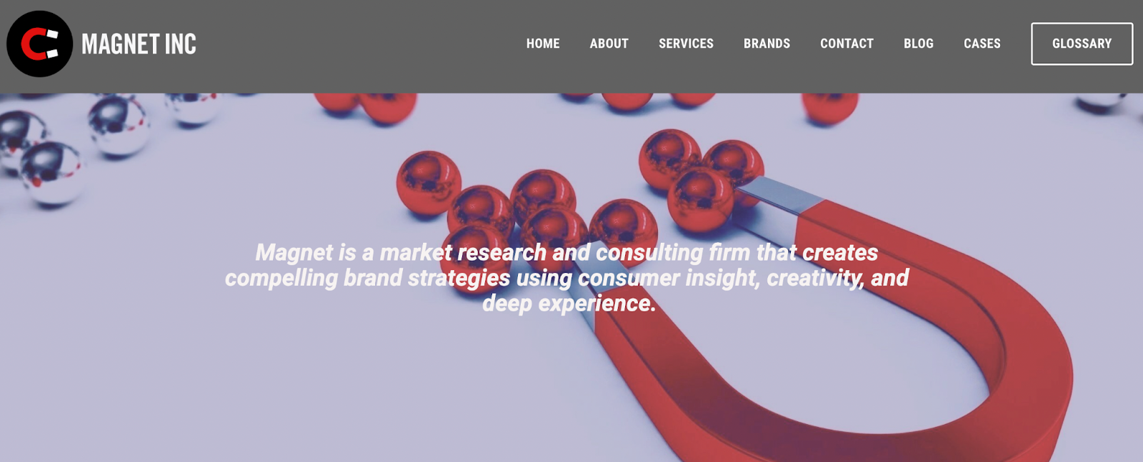 Magnet Inc consumer insights firm