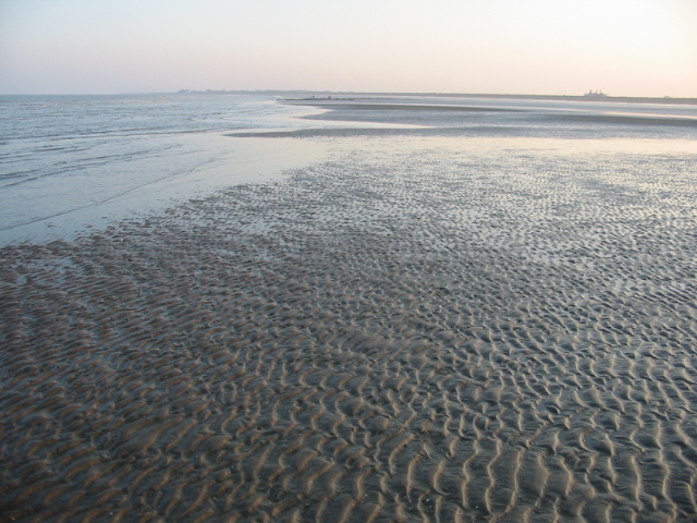 Image result for low tide mud flats