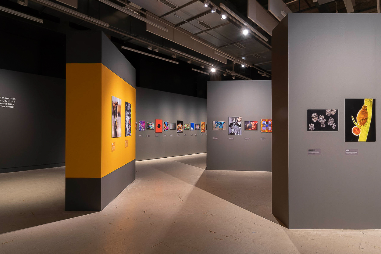 An image of a gallery exhibition that features some of Yevhen's work.