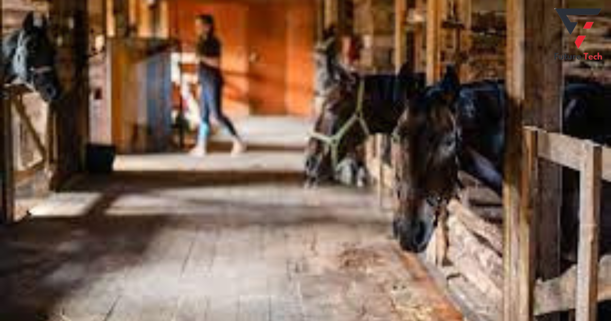 Maintaining  Horse Stables