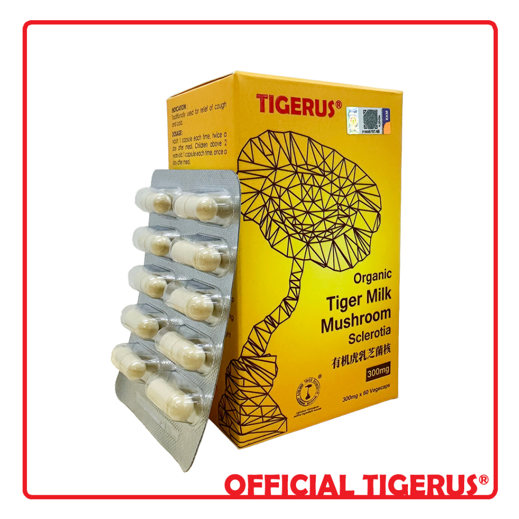 Tiger Milk Mushroom in Malaysia