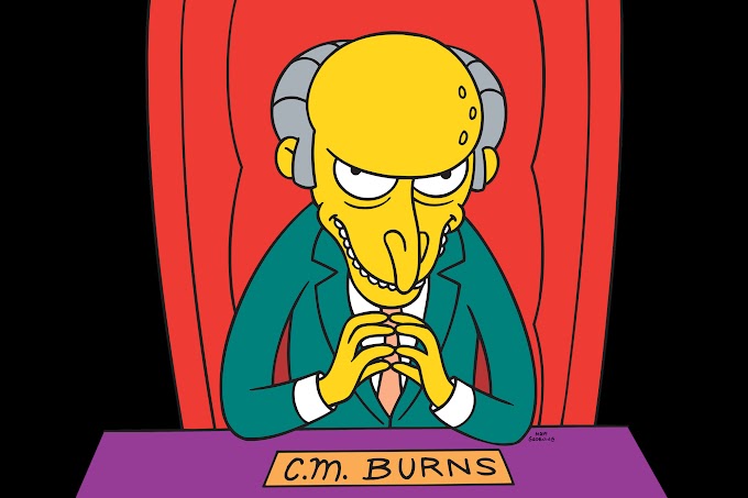 Jorge Milla de Leon ¿Por qué me gusta Sr Burns ?