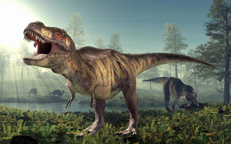 Tyrannosaurus rex