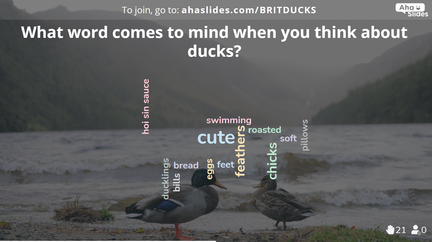 A graphic containing a word cloud of words related to British ducks.