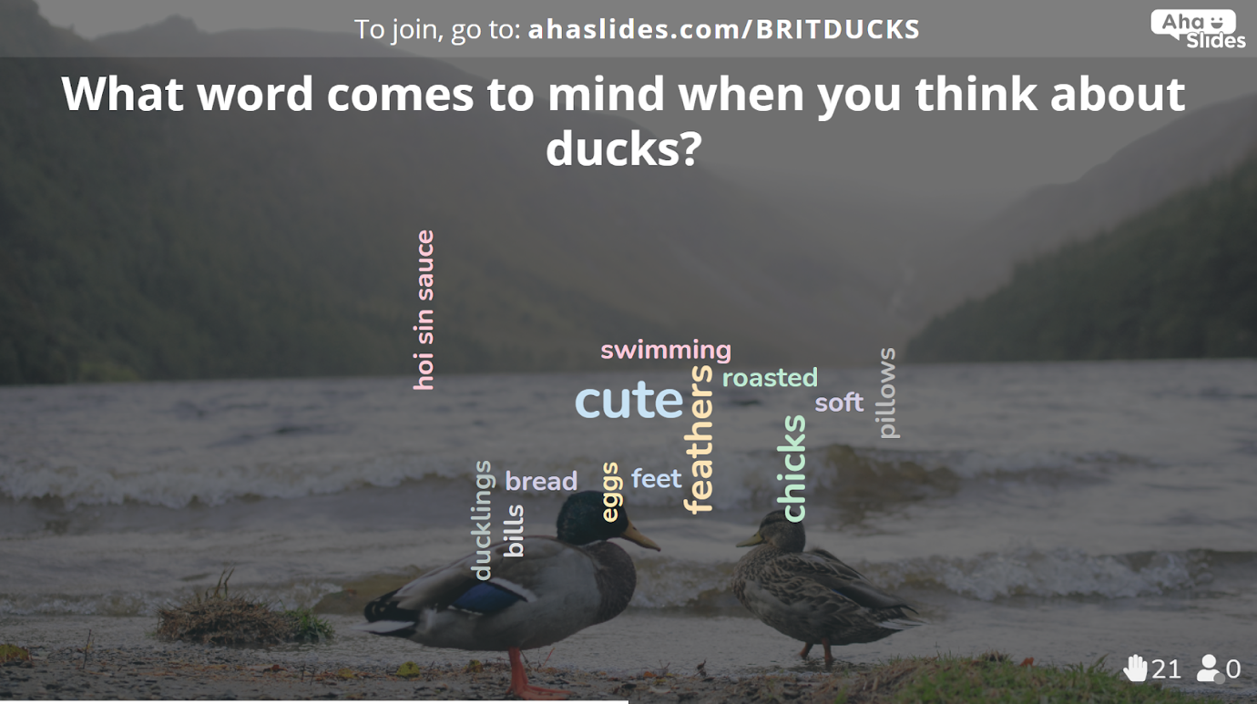 Un graphique contenant un nuage de mots de mots liés aux canards britanniques.