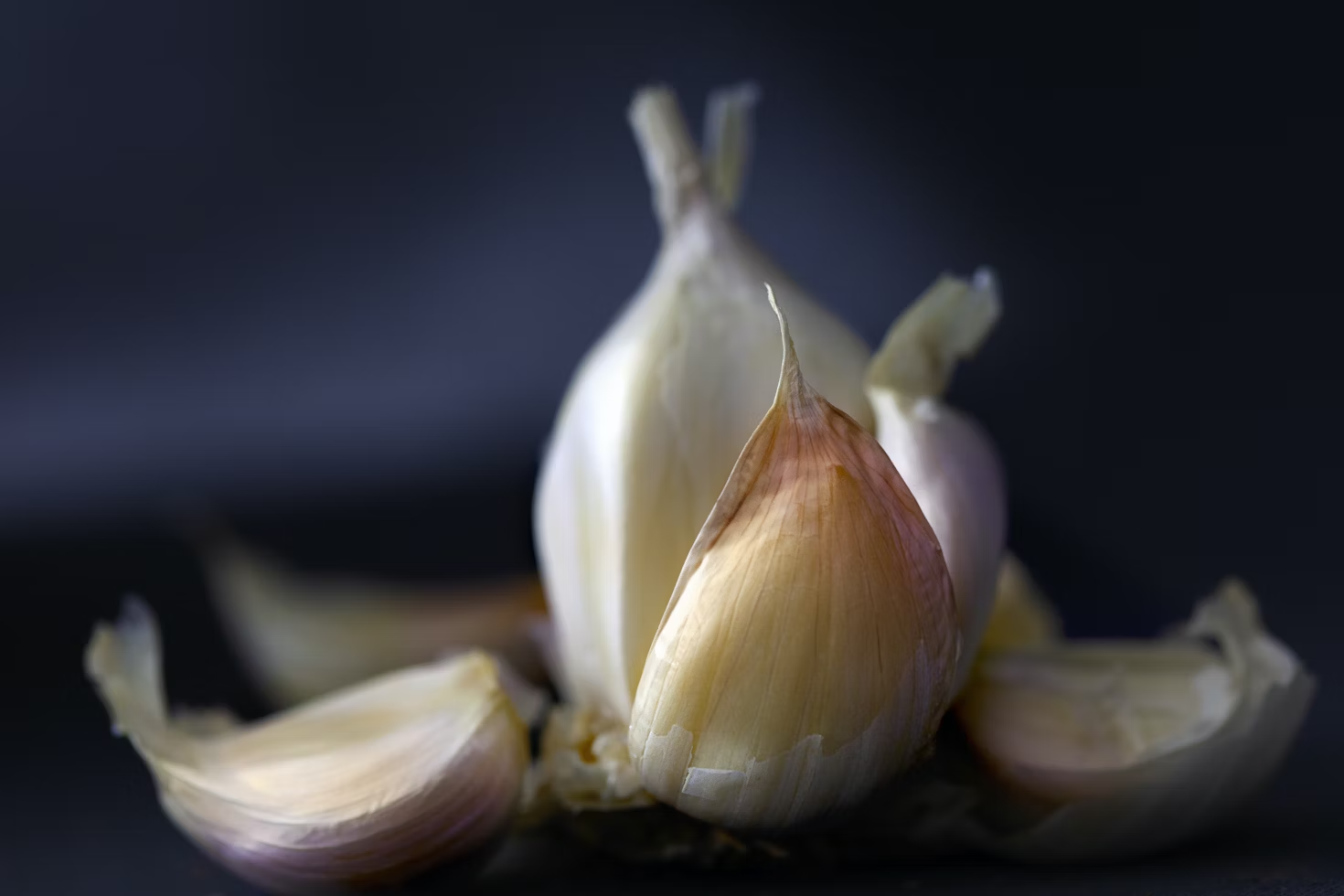 a photo of garlic