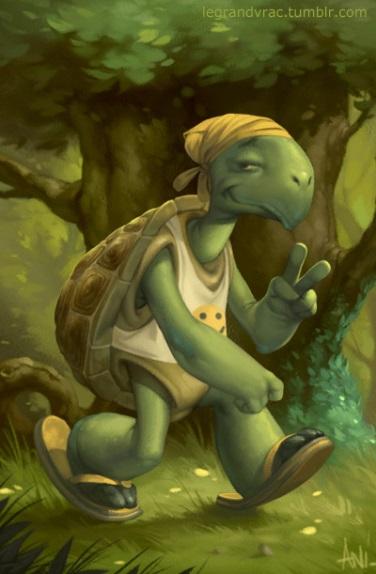 http://www.aniii.com/blog/img/tortue.jpg