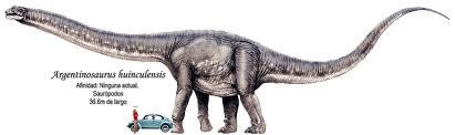 Resultado de imagen de argentinosaurio