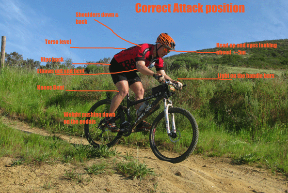 The reach that you have calculated for yourself on your mountain bike will allow you to ride with soft elbows and wrists so that you avoid injury when riding over rough terrain.