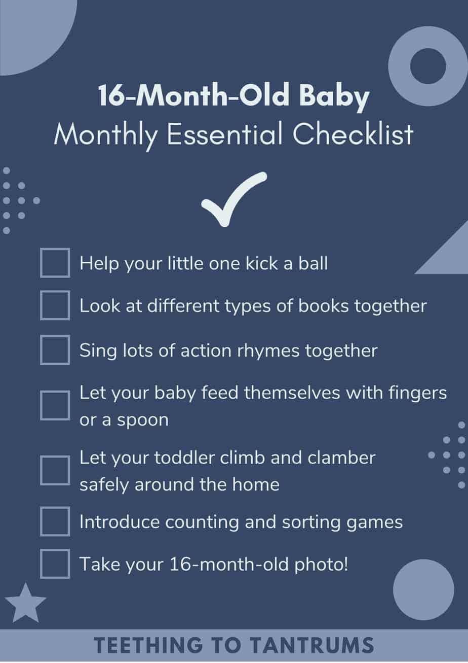 16 Month Old Checklist