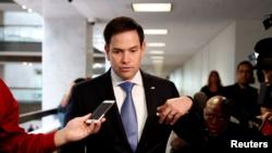 共和党联邦参议员鲁比奥(Sen. Marco Rubio, R-FL)