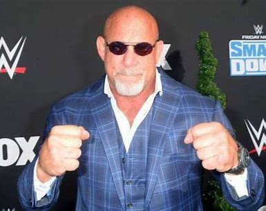 bill-goldberg-net-worth