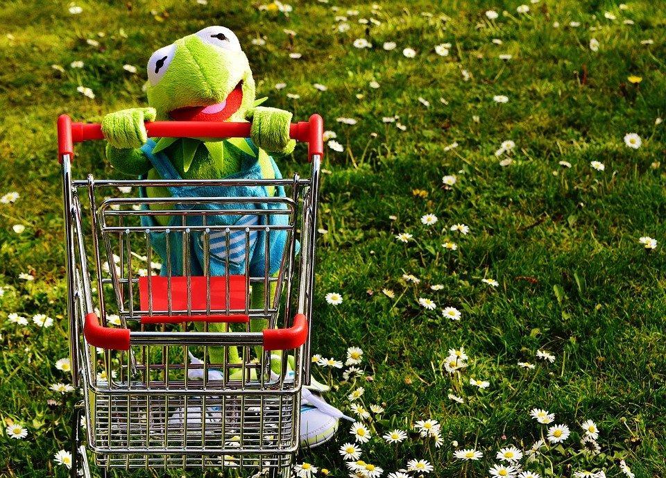 Kermit, Frog, Shopping, Shopping Venture, Fun