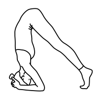 ardhpinch-mayurasan-dolphin-pose
