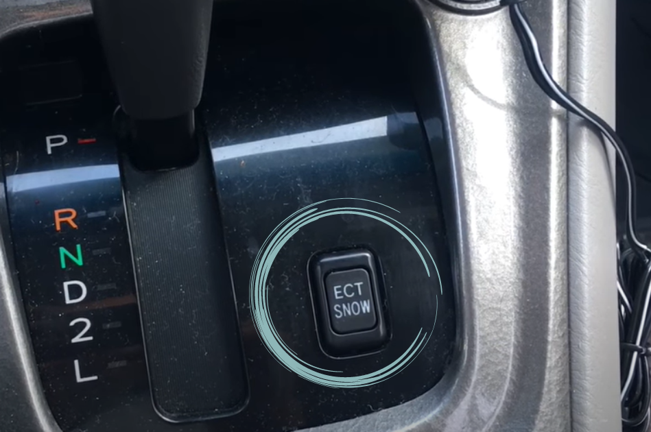 ECT Snow Function & Purpose of this Button Engine Diary