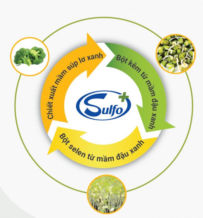 Thành phần của nhóm Sulfo+