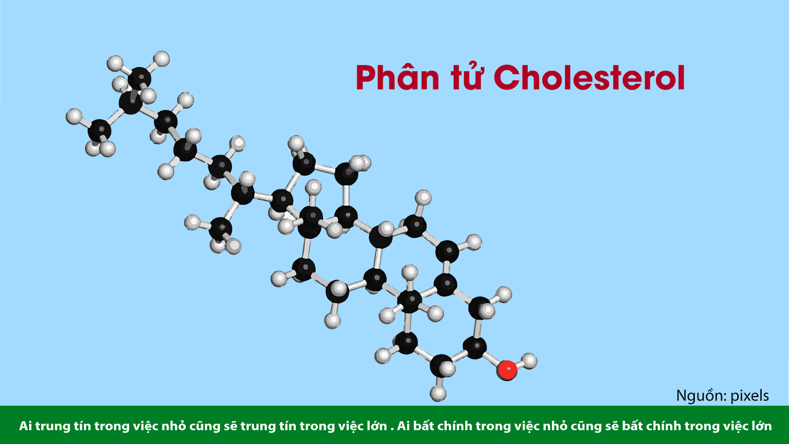 CHOLESTEROL KHỎE MẠNH LÀM GIẢM NGUY CƠ BỆNH TIM MẠCH 