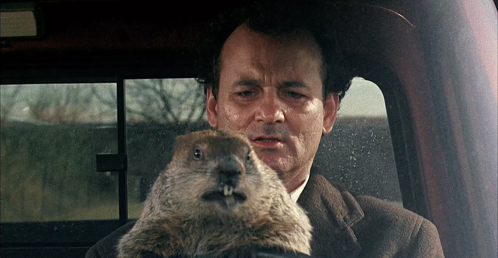 This is a screen still from Groundhog Day. Bill Murray is sitting in the front seat of a car with a groundhog in his lap.