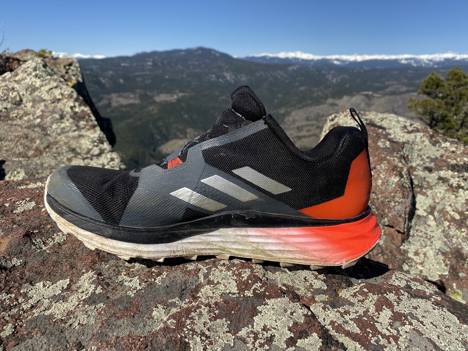 Road Trail Run: adidas Terrex Two BOA Review: Dialed In, Comfortable, and  Versatile