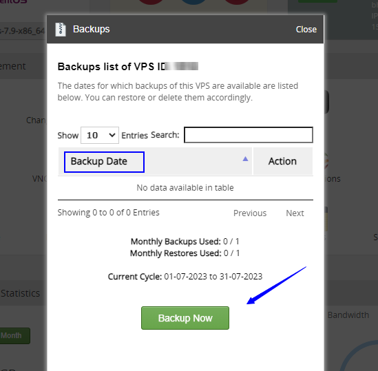 backup your VPS from the client area