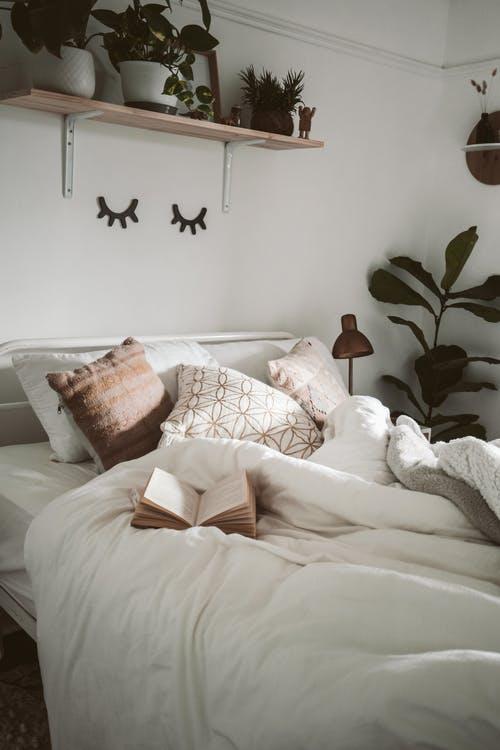 Free Photo Of Bed Near Indoor Plant Stock Photo