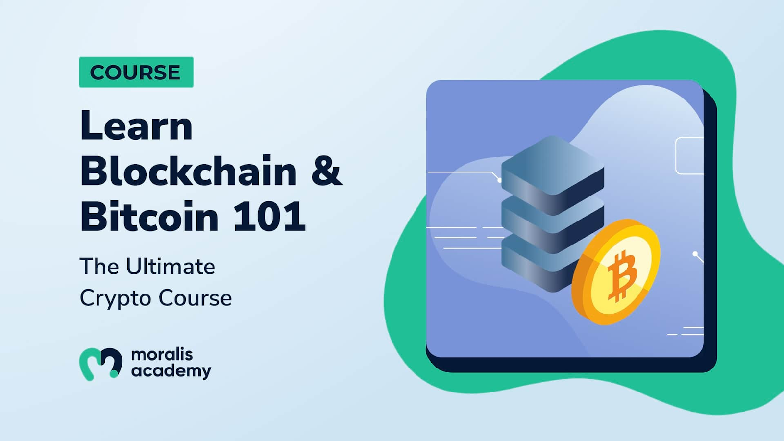 Once you've finished this article on increased electricity prices and Web3, dive into blockchain and Bitcoin with Moralis Academy's ultimate crypto course!
