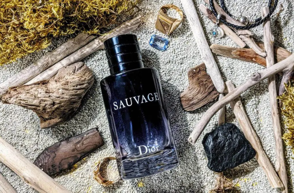 Nước hoa Dior Sauvage EDT có sự chuyển hướng rõ nét ở các tầng hương
