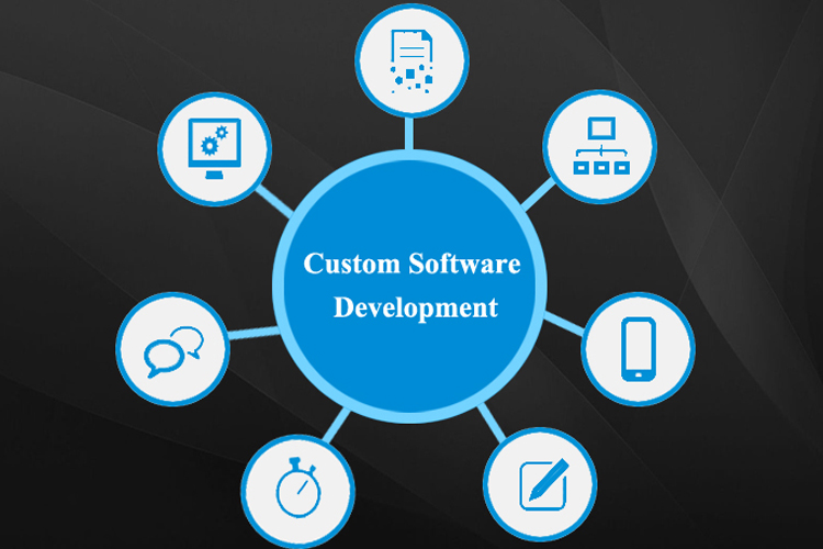  Custom Software Development Company