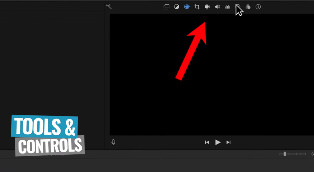 There are a range of tools and controls above the playback window