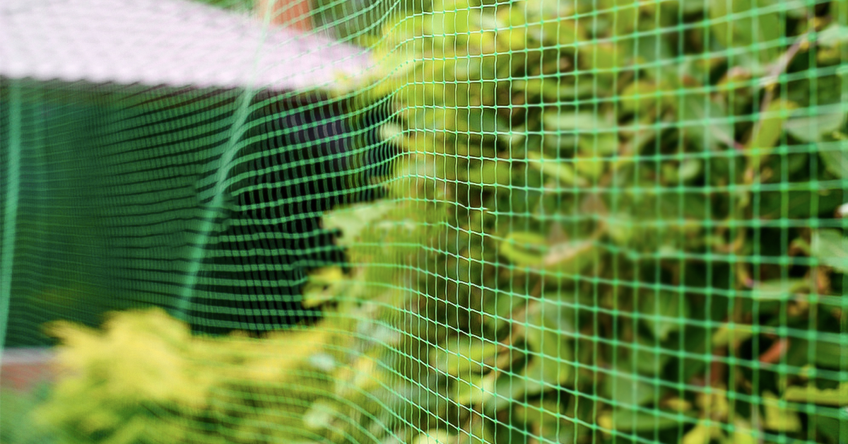Setting up your garden netting