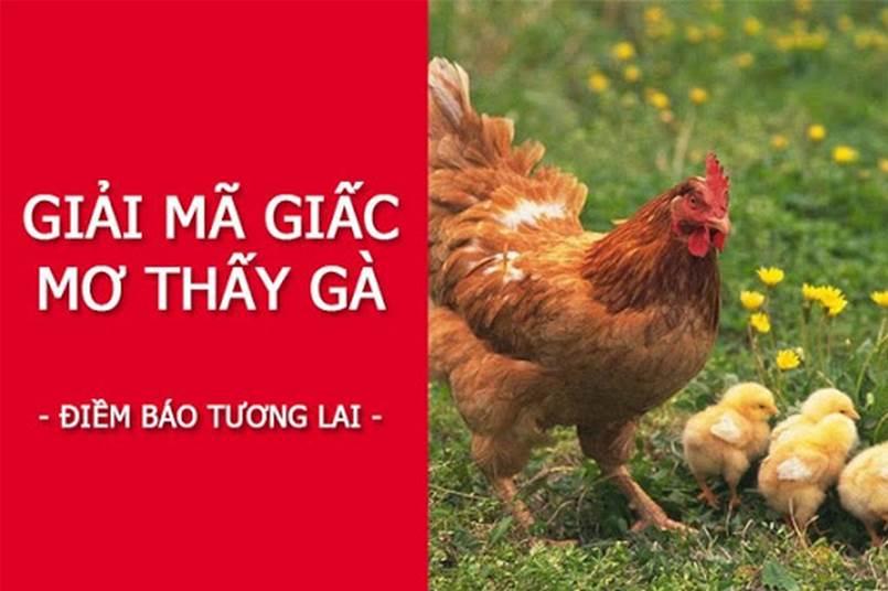 Những giấc mơ thấy gà đánh con gì đang dự báo cho bạn điều gì?