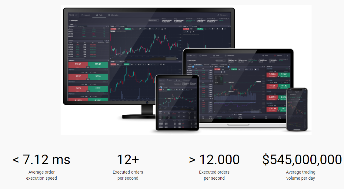 Goose24 WebTrader