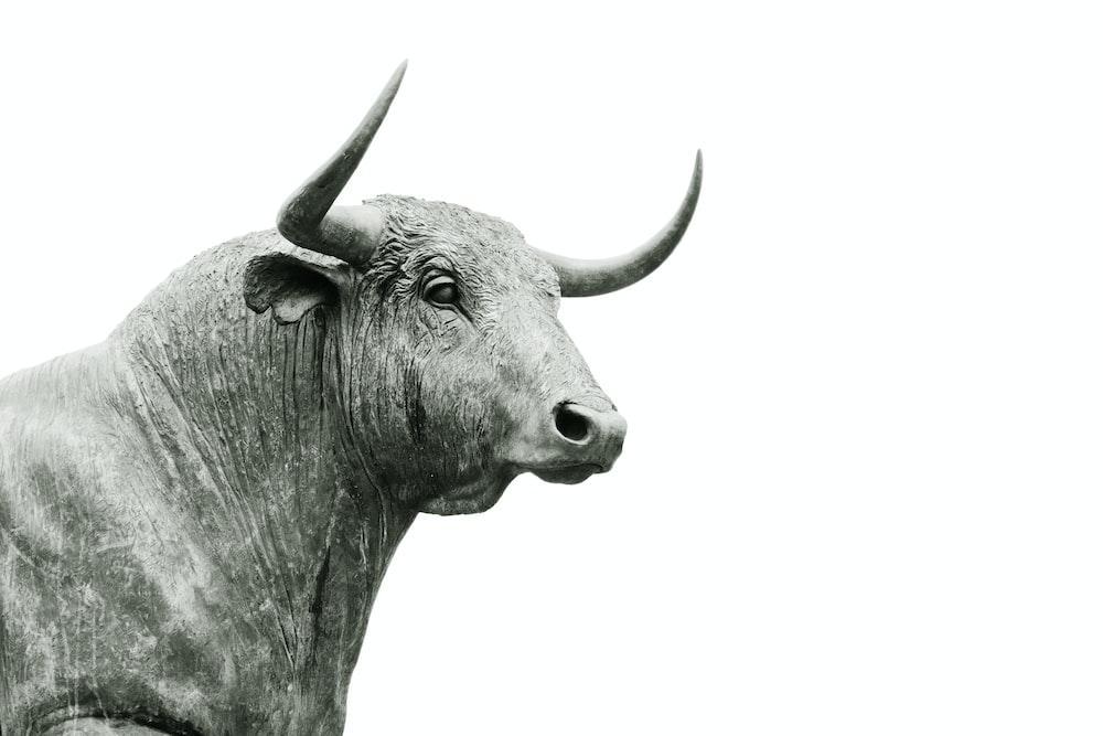 A statue of a bull depicting a bullish market